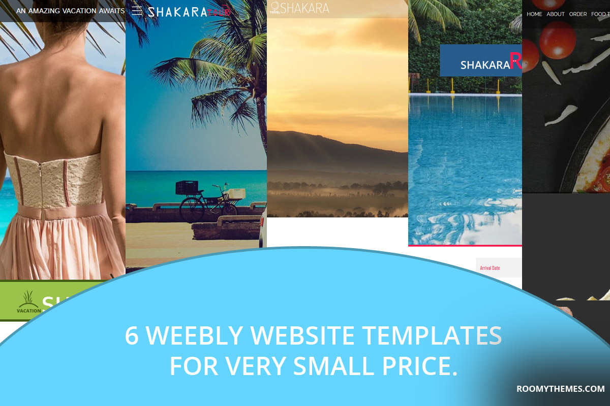 6 weebly website template for small price