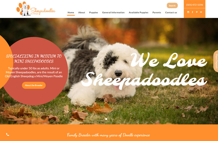 sheepadoodles website example