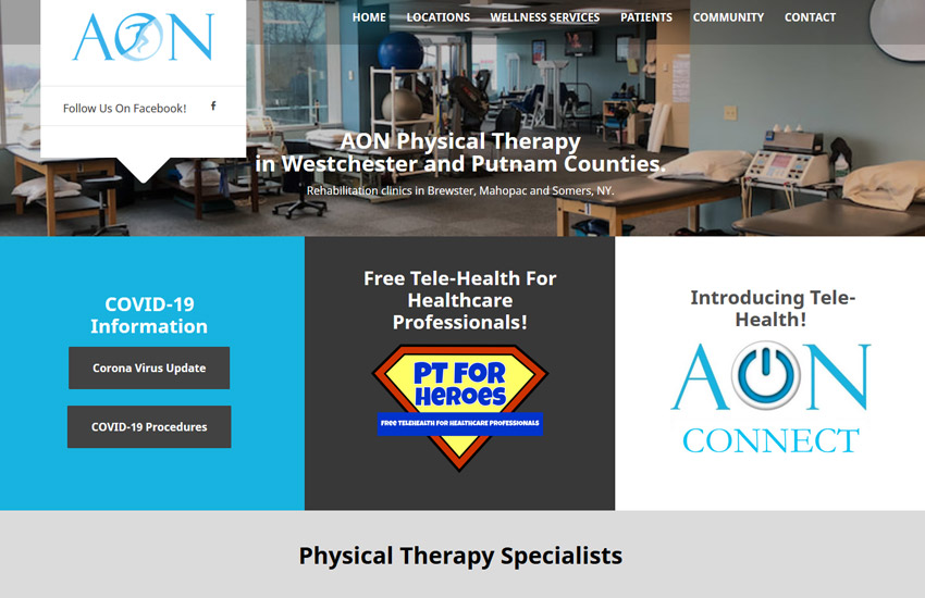 physical therapy website design example