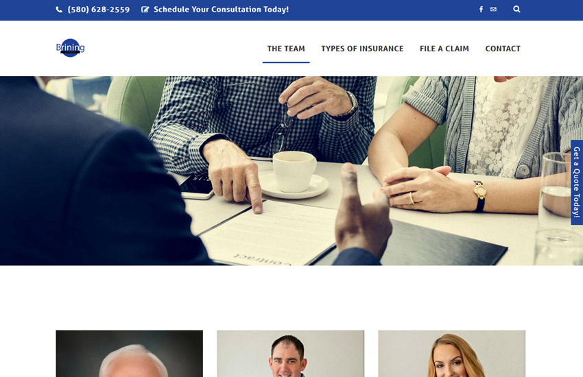 Brining insurance website example