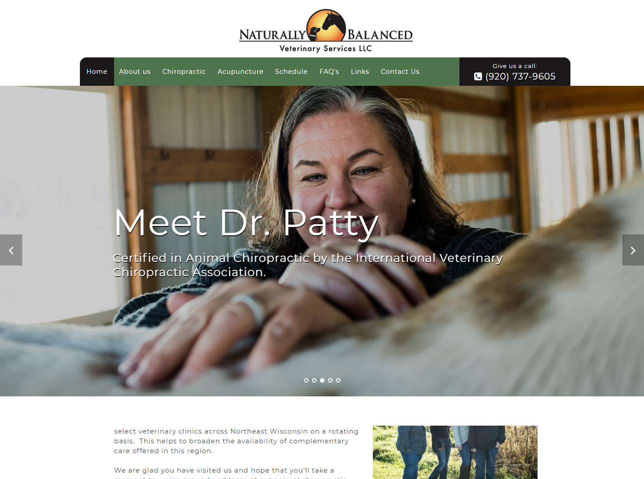 Naturally balanced vet made with Roomy themes