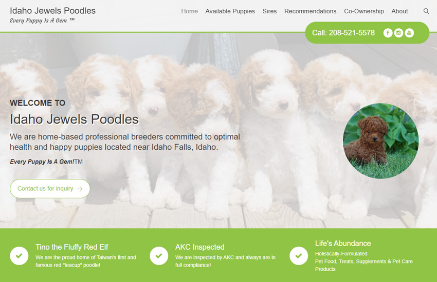 Pets, poodles websites made with Roomy themes