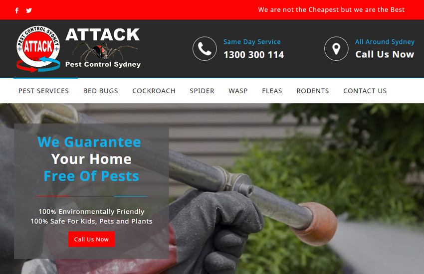 Attack pest control website made with loan theme by Roomy Themes