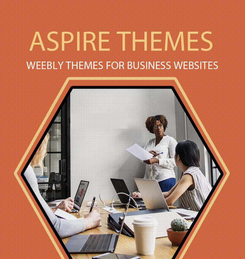 Aspire themes for business websites