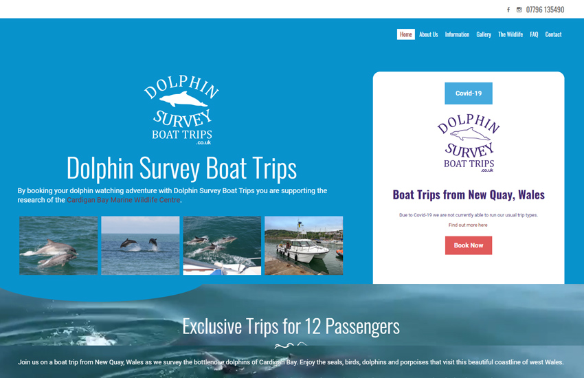 Dolphin survey boat trips website made with Roomy themes
